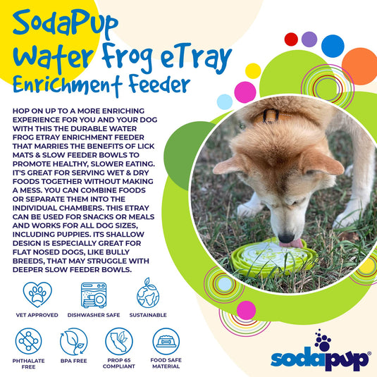 Water Frog eTray - Shallow Slow Feeder Dog Bowl for Enrichment | USA Made