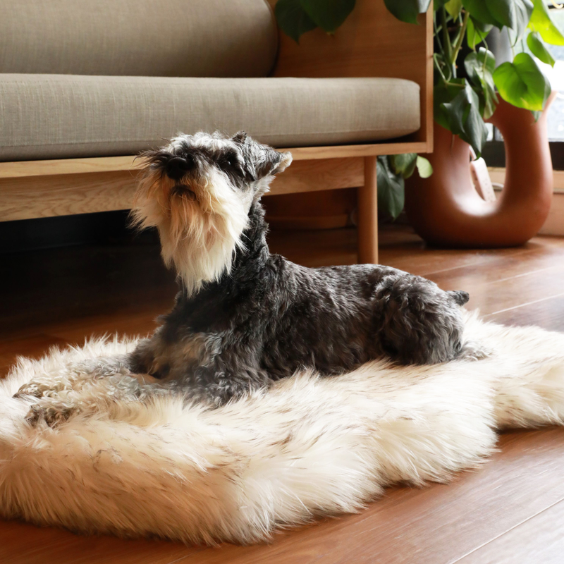 Load image into Gallery viewer, PupRug by Paw.com® Faux Fur Orthopedic Dog Bed - Curve White with Brown Accents
