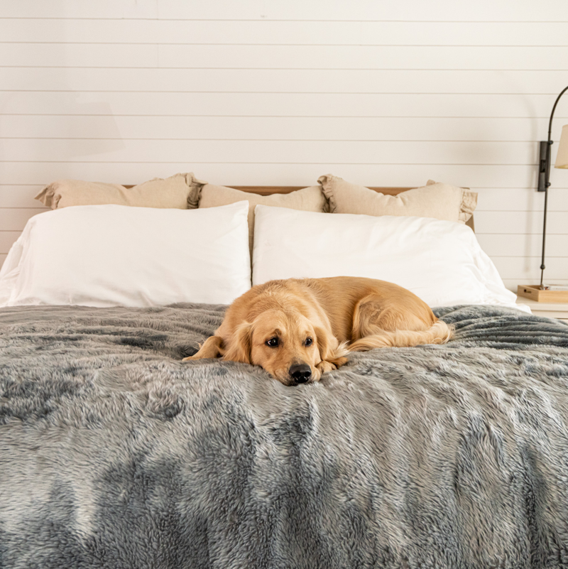 Load image into Gallery viewer, PupProtector™ Summer Short Fur Waterproof Throw Blanket - Charcoal Grey
