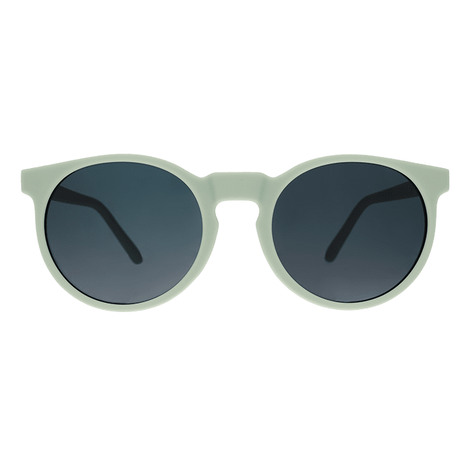 Load image into Gallery viewer, &quot;Incognito Plant Parent” Circle G Polarized Sunglasses
