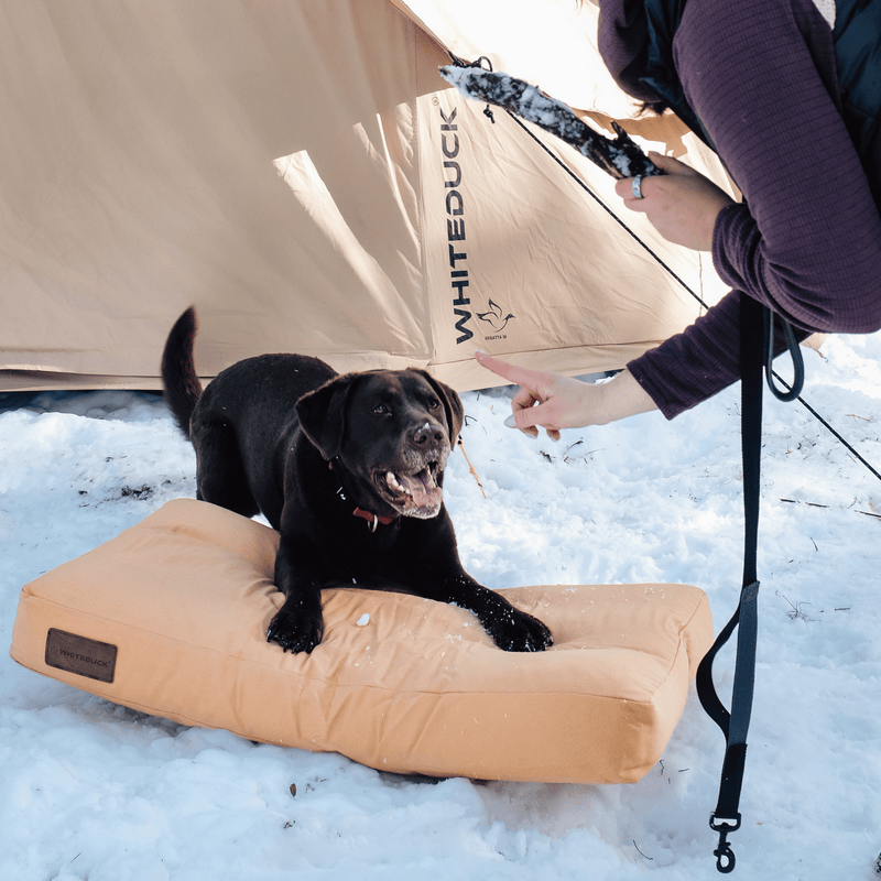 Load image into Gallery viewer, Dog Bed
