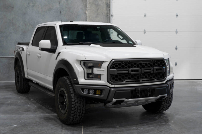 Load image into Gallery viewer, Diode Dynamics 17-20 Ford Raptor SS3 LED Fog Light Kit - White Sport
