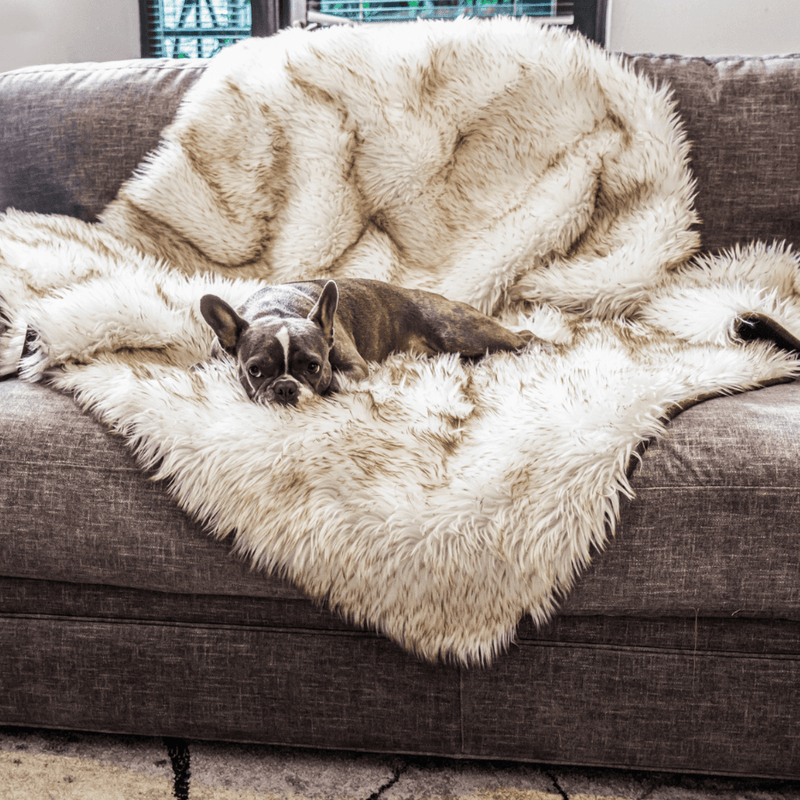Load image into Gallery viewer, PupProtector™ Waterproof Throw Blanket - White with Brown Accents
