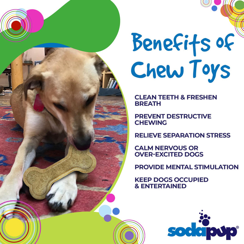 Load image into Gallery viewer, Bone eChew Ultra Durable Nylon Dog Chew Toy for Aggressive Chewers | USA Made
