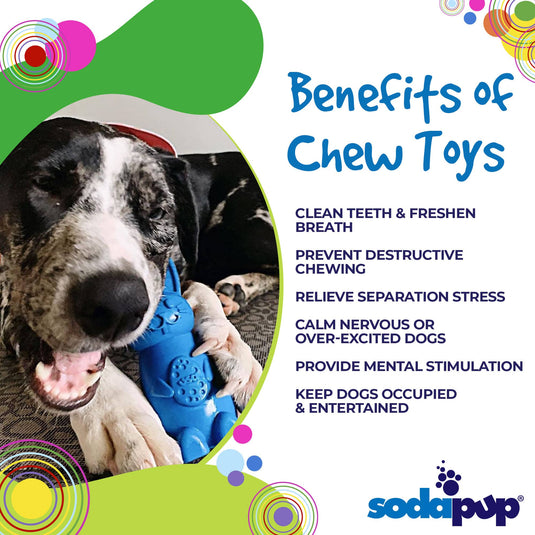 Bunny Nylon Chew Toy for Aggressive Chewers | Durable & USA Made