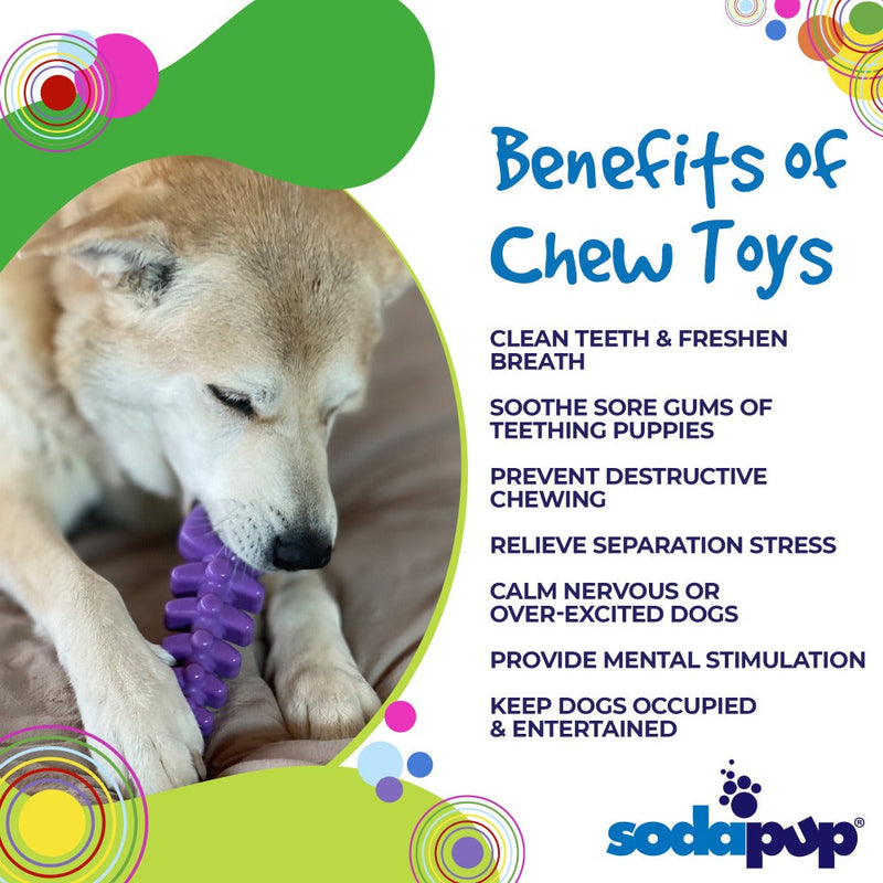 Load image into Gallery viewer, Fish Bone Nylon Dog Toy for Aggressive Chewers | USA Made | SodaPup
