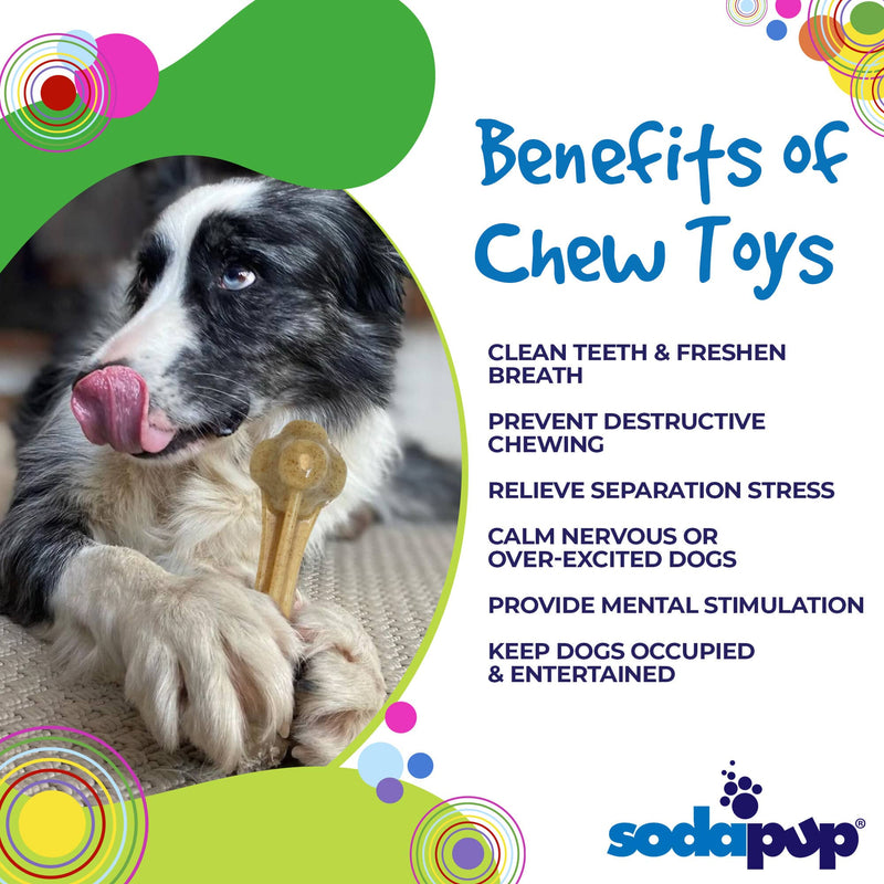 Load image into Gallery viewer, Knuckle Bone Nylon Dog Chew Toy for Aggressive Chewers | Made in USA
