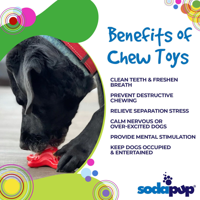 Load image into Gallery viewer, Starfish Nylon Dog Chew Toy for Aggressive Chewers | USA Made | SodaPup
