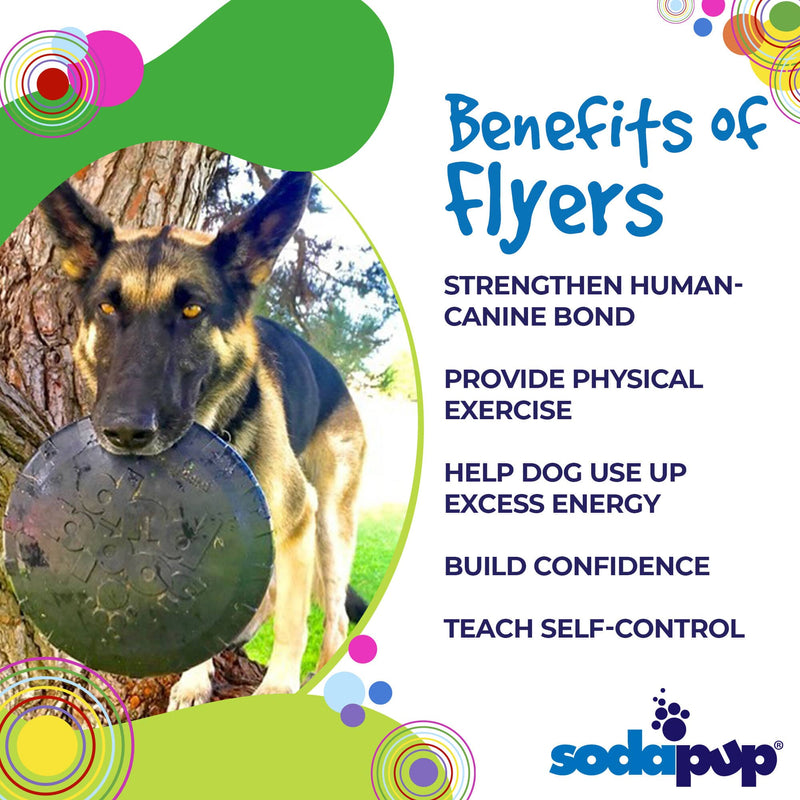 Load image into Gallery viewer, Magnum Bottle Top Flyer Rubber Frisbee for Heavy Chewers | Large | USA Made
