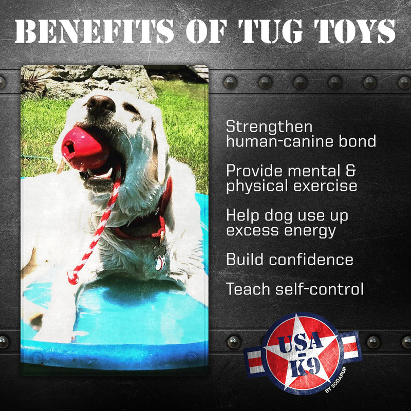 Load image into Gallery viewer, USA-K9 Cherry Bomb Rubber Dog Chew Toy | K9 Handler Reward Toy | USA Made
