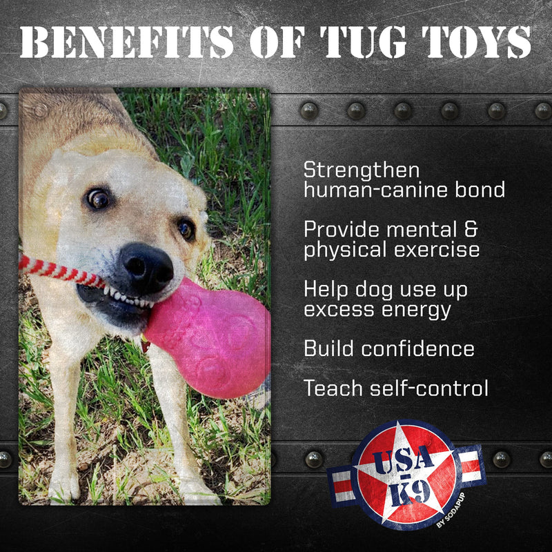 Load image into Gallery viewer, USA-K9 Skull Dog Chew Toy &amp; Treat Dispenser - Made in USA | SodaPup
