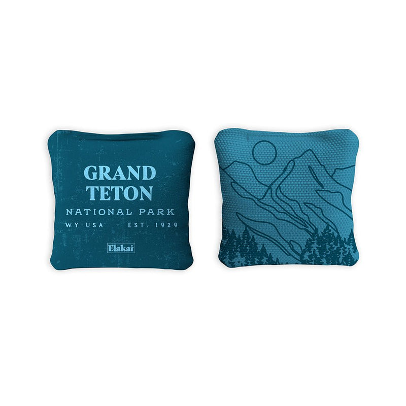 Load image into Gallery viewer, 4-in Travel Dual-Sided Cornhole Bags | National Parks Collection
