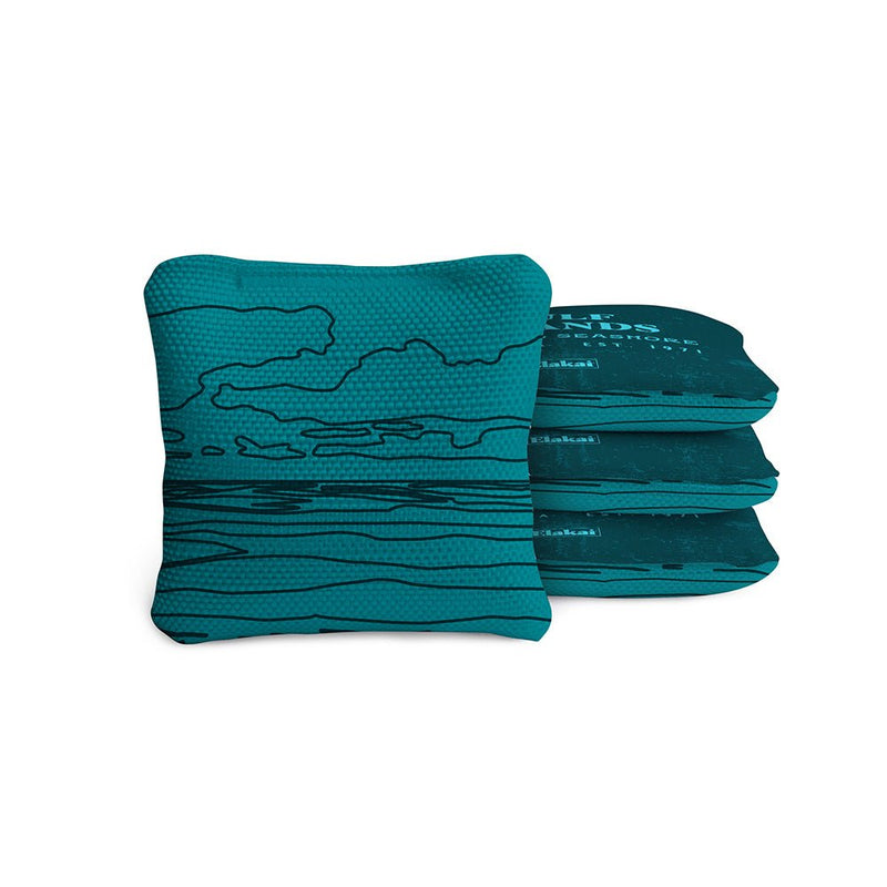 Load image into Gallery viewer, 4-in Travel Dual-Sided Cornhole Bags | National Parks Collection
