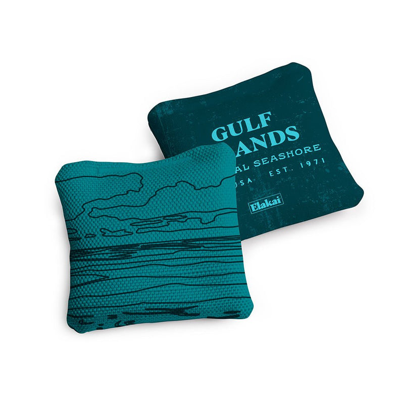 Load image into Gallery viewer, 4-in Travel Dual-Sided Cornhole Bags | National Parks Collection
