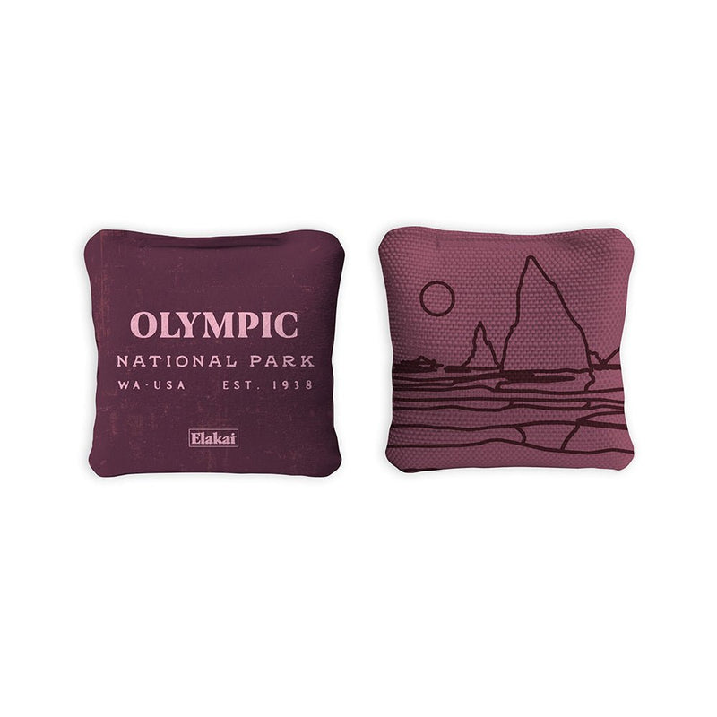 Load image into Gallery viewer, 4-in Travel Dual-Sided Cornhole Bags | National Parks Collection
