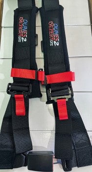 Load image into Gallery viewer, D2D 4.2 Auto Buckle 4-Point Harness – UTV Safety Gear
