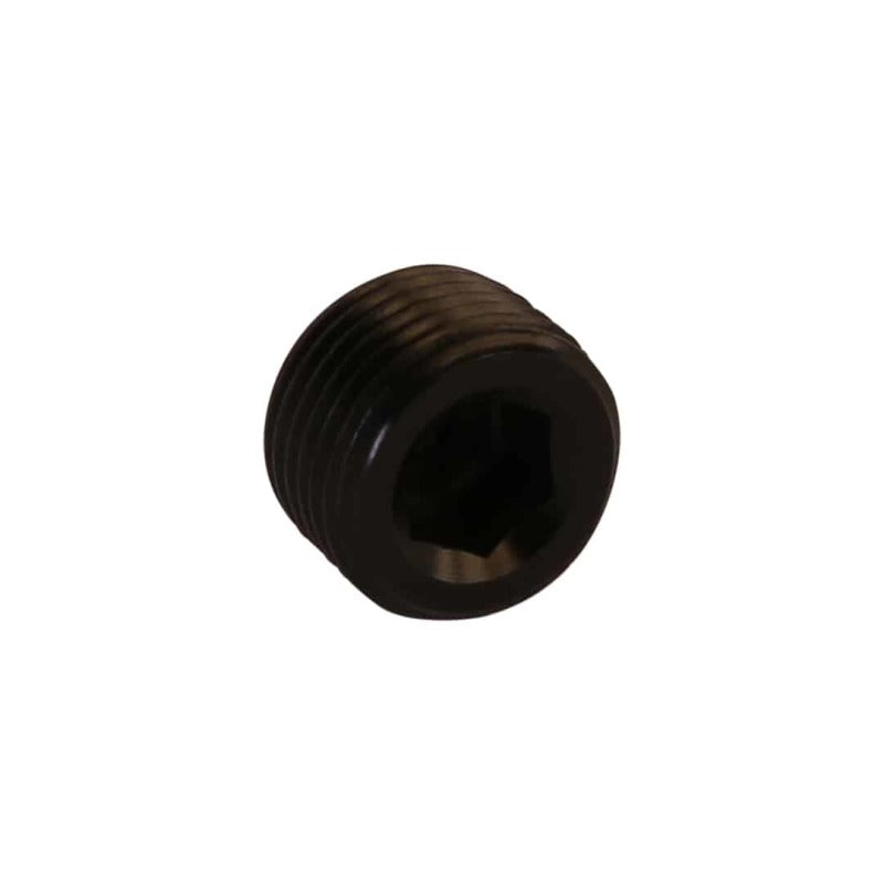 Load image into Gallery viewer, Aeromotive Fitting - Plug - 3/8in NPT 15729

