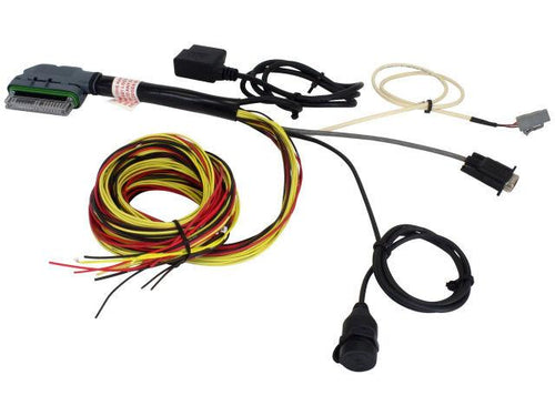 AEM Electronics Engine Wiring Harness