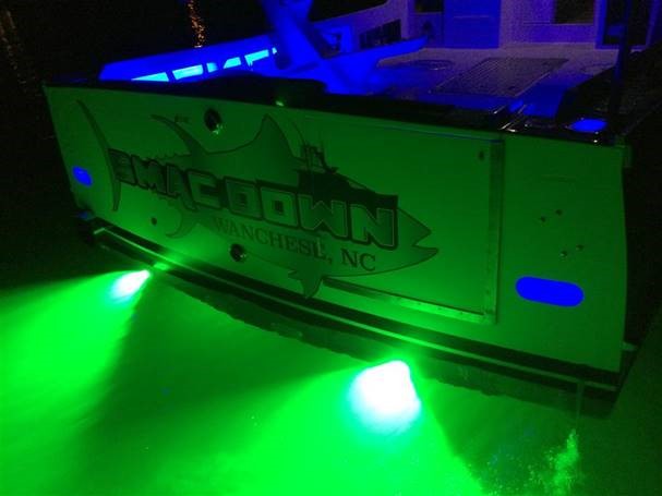Load image into Gallery viewer, Subaqua Underwater LED Light

