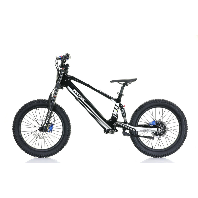 Load image into Gallery viewer, Voltaic Youth Electric Dirt Bike 20&#39;&#39; Flying Fox 48V
