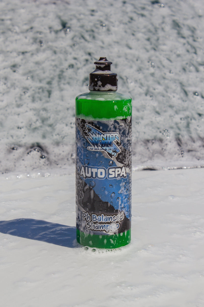 Load image into Gallery viewer, Auto Spa (16 fl oz)
