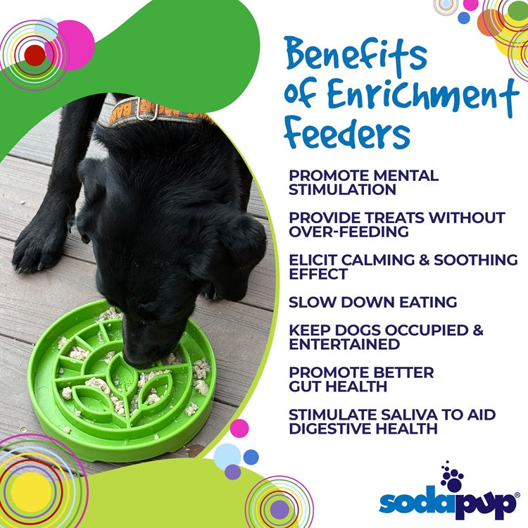 Load image into Gallery viewer, Garden Design eTray - Shallow Slow Feeder Dog Bowl for Enrichment | USA
