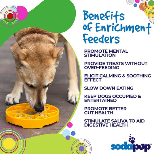 Sunflower eTray Shallow Slow Feeder Dog Bowl for Enrichment | USA Made
