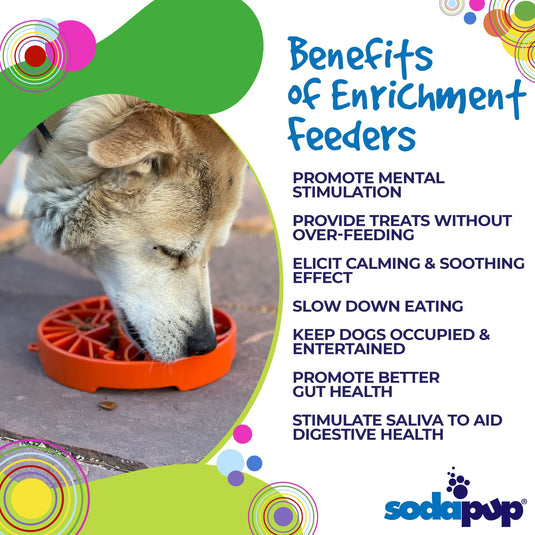 Sun and Moon eTray - Shallow Slow Feeder Dog Bowl for Enrichment | USA Made