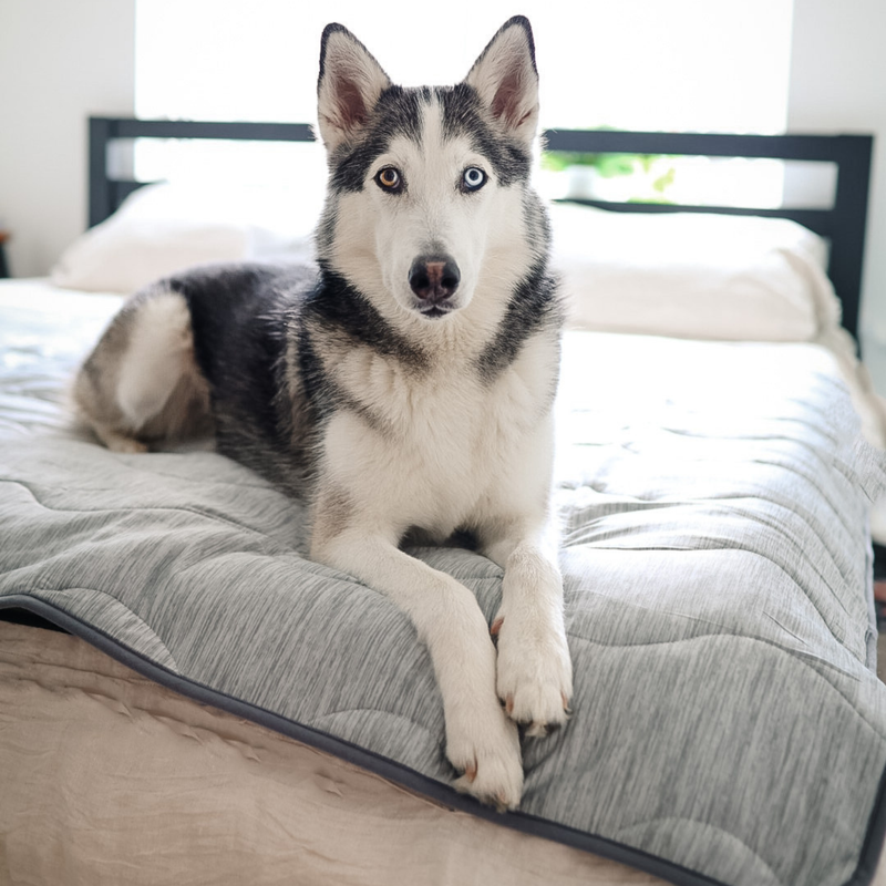 Load image into Gallery viewer, PupChill™ Cooling Waterproof Blanket - Arctic Grey
