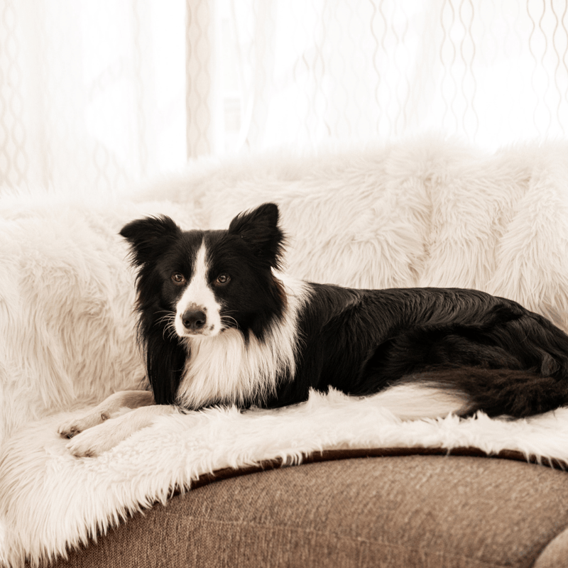 Load image into Gallery viewer, PupProtector™ Waterproof Throw Blanket - Polar White
