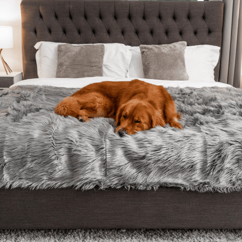 Load image into Gallery viewer, PupProtector™ Waterproof Throw Blanket - Charcoal Grey
