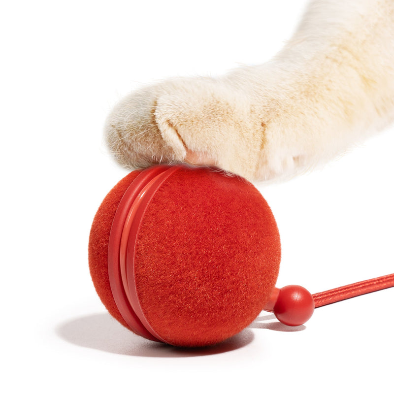 Load image into Gallery viewer, Wicked Ball Duo2

