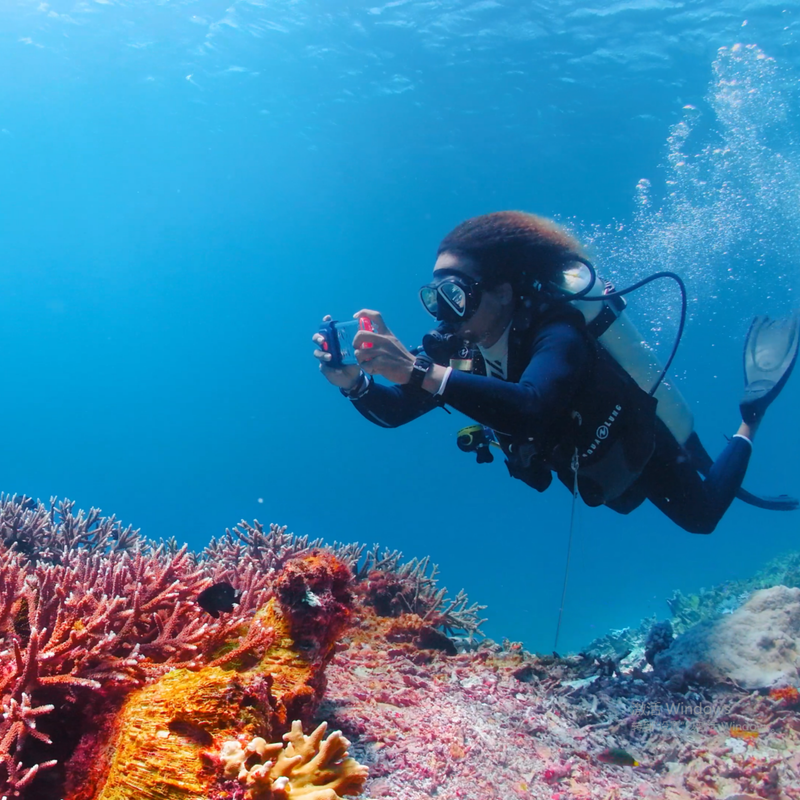 Load image into Gallery viewer, H1 Smart Waterproof Phone Case
