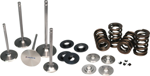 Ferrea 09-13 VW 2.0T TSI / 15-16 VW Golf R 2.0T TSI Single Spring Kit