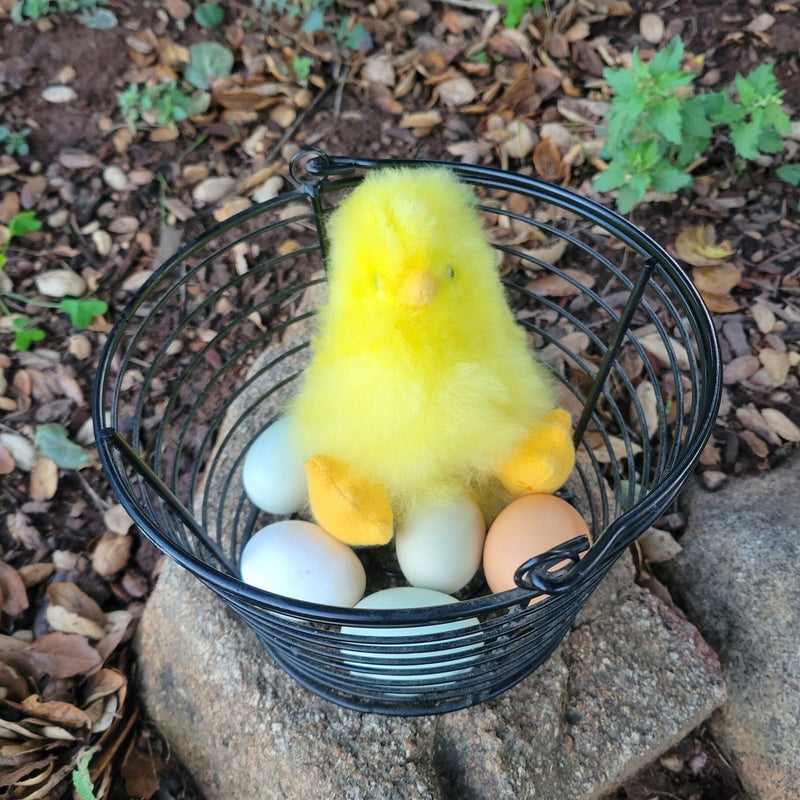 Load image into Gallery viewer, 5&quot; Fur Alpaca Yellow Chick
