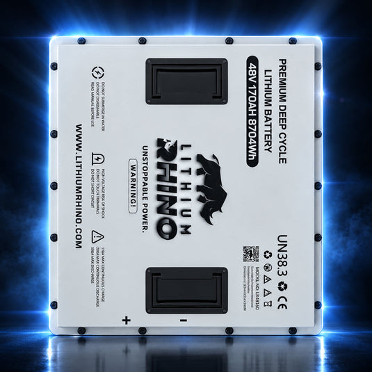 48V 170Ah Lithium Rhino 300a BMS Conversion Kit