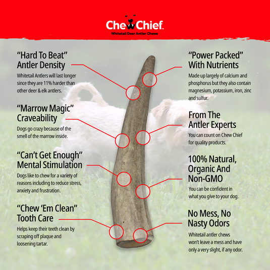 Large Antlers