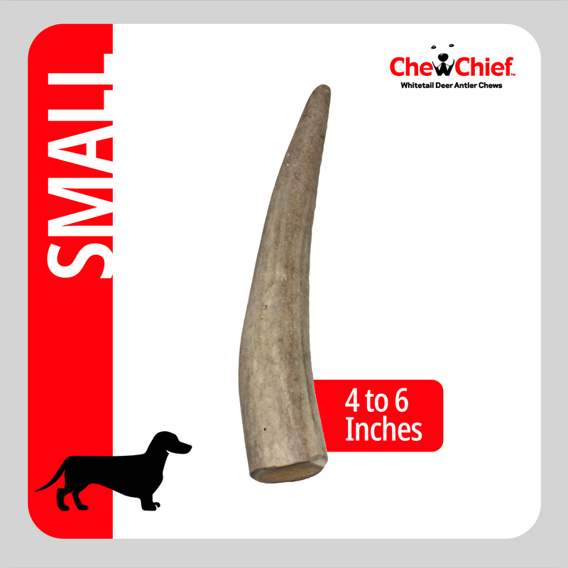 Load image into Gallery viewer, Small Antlers
