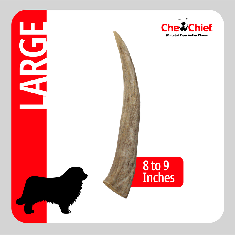 Load image into Gallery viewer, Large Antlers
