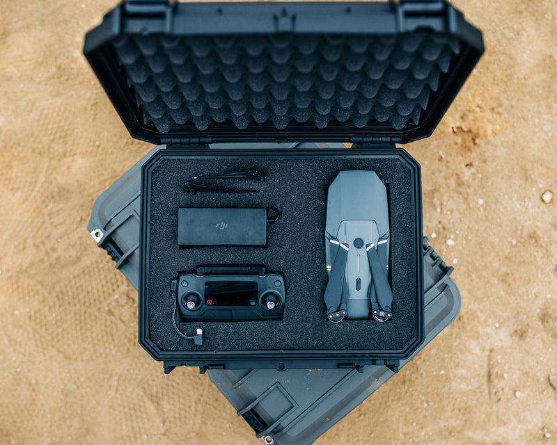 Load image into Gallery viewer, Seahorse 530
