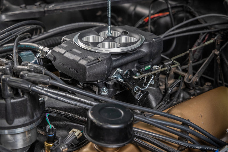 Load image into Gallery viewer, 2 EFI - Black - Inline Pump - With PDM - 3.5 in. Handheld
