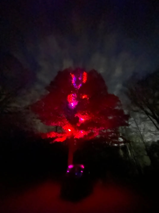 Marshin Whips: RGB Lunar Laser Light Kit