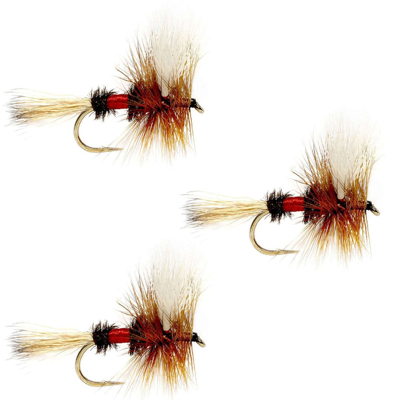 Load image into Gallery viewer, 3 Pack Royal Wulff Classic Hair Wing Dry Fly - Hook Size 10

