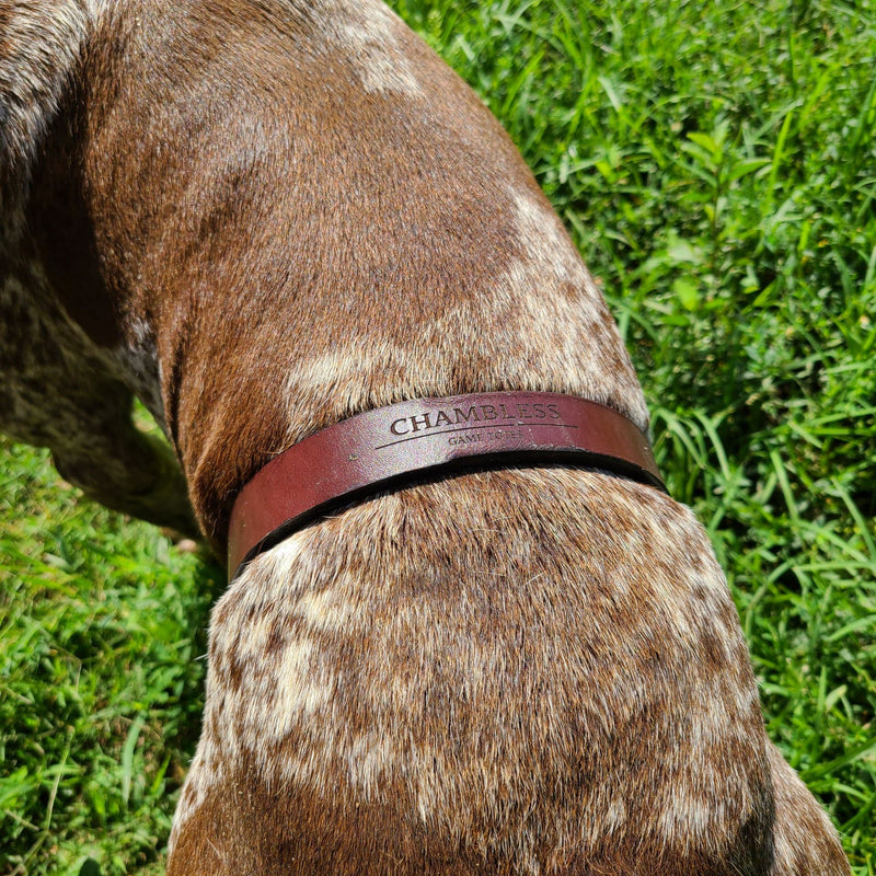 Load image into Gallery viewer, Durham Dog Training Flank Collar
