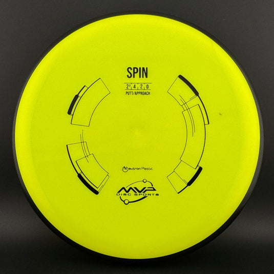 Neutron Spin