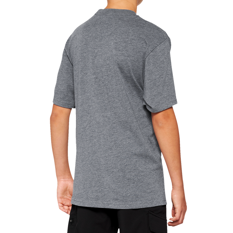 Load image into Gallery viewer, 100% Youth Icon T-Shirt - Heather Gray - Medium 20001-00009
