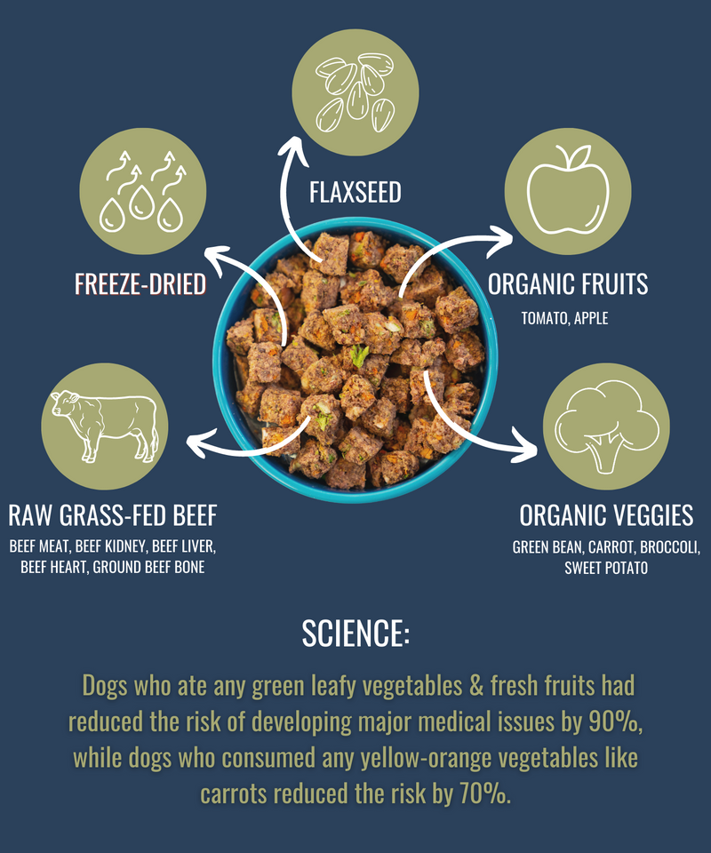 Load image into Gallery viewer, Freeze-Dried Raw Beef — Formulated for Dog Longevity
