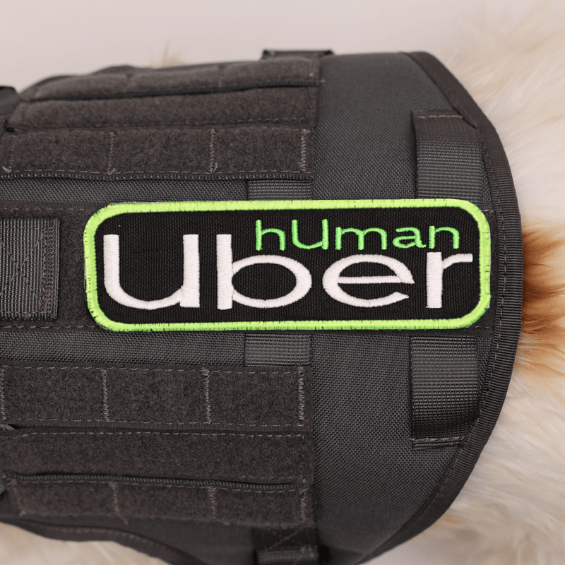 Load image into Gallery viewer, Human Uber Patch
