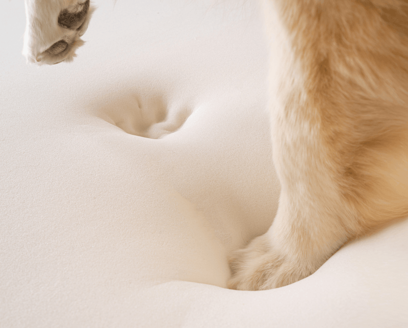 Load image into Gallery viewer, PupRug by Paw.com® Faux Fur Orthopedic Dog Bed - Curve White with Brown Accents
