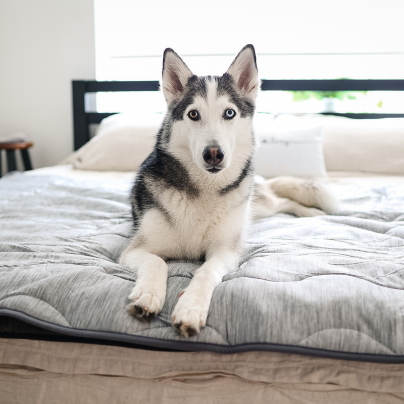 Load image into Gallery viewer, PupChill™ Cooling Waterproof Blanket - Arctic Grey
